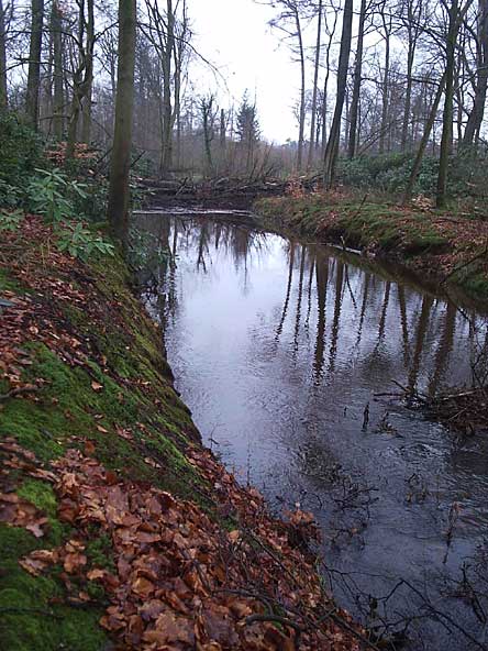 Stormschade in Delden