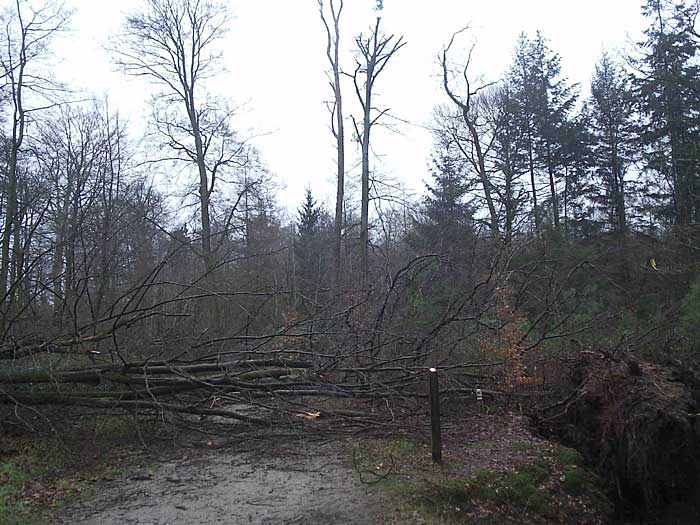 Stormschade in Twickel