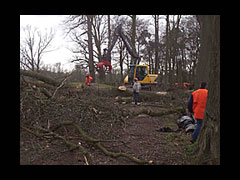 De stormschade van 18 januari is enorm 200 miljoen euro