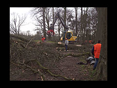 De stormschade van 18 januari is enorm 200 miljoen euro