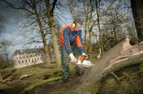 Bomen om bij kasteel Twickel