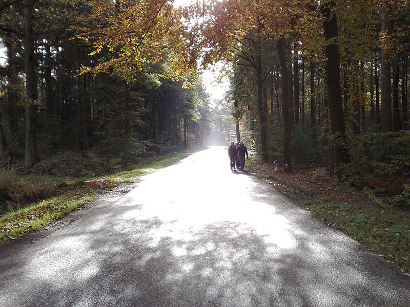 Hof te Boekelo bij Hengelo