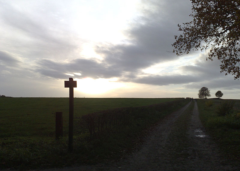 Deldener Es in de herfst