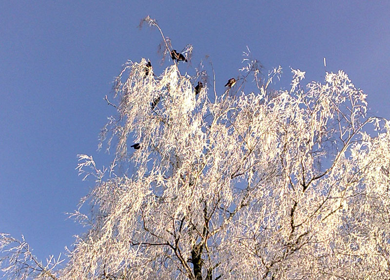 Kleigat Breemarsweg Hengelo