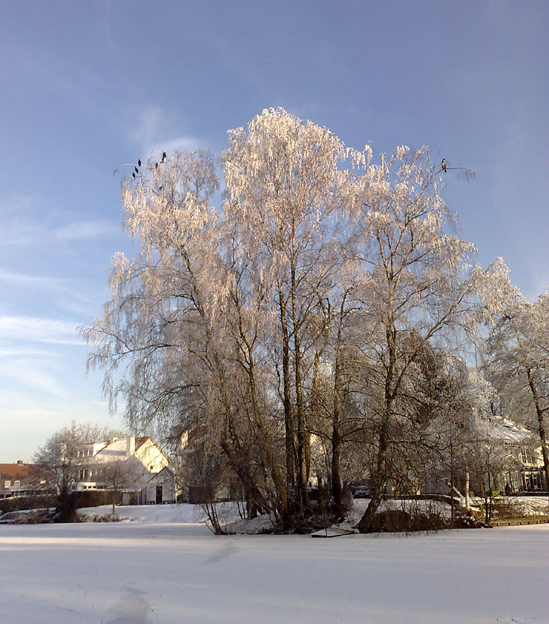 Kleigat Breemarsweg Hengelo