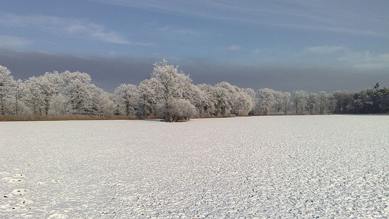 Oldematen bij Boekelo