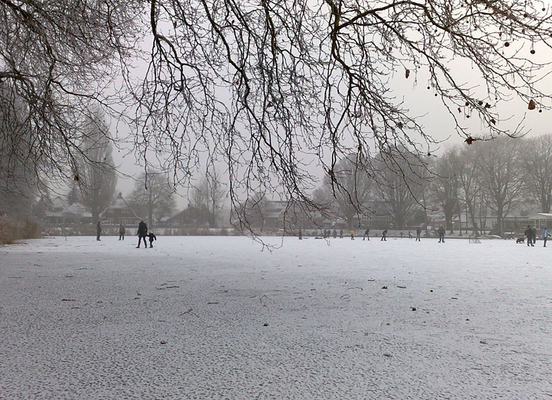 Tuindorpvijver Hengelo