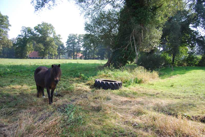 Oosetlijk deel van het vierkant bij Kloeke