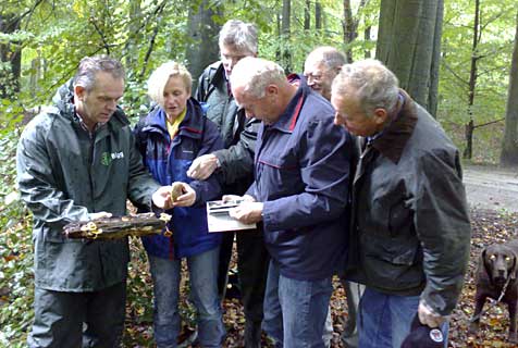 Eerste commerciele zoektocht naar paddenstoelen in Nederland