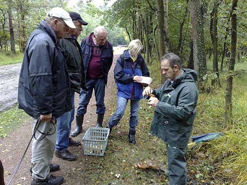 Paddenstoelenzoeken in Twickel