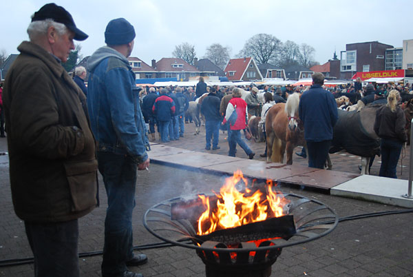 Paardenmarkt drukbezocht