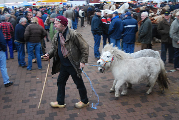 Paardenmarkt Goor