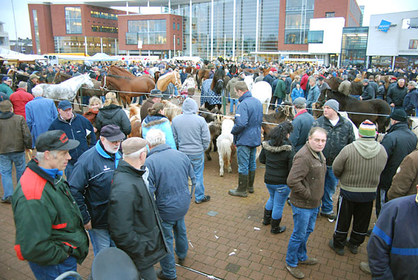 Drukke paardenmarkt Goor