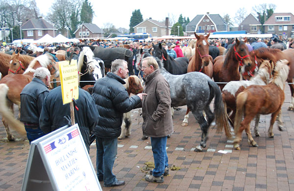 Paardenmarkt Goor