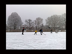 Schaatsen middenin woonwijk Tuindorp in Hengelo