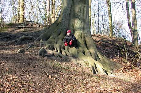 Jesse Tettero bij een eeuwenoude boom in Duinvliet