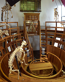 Anatomy School