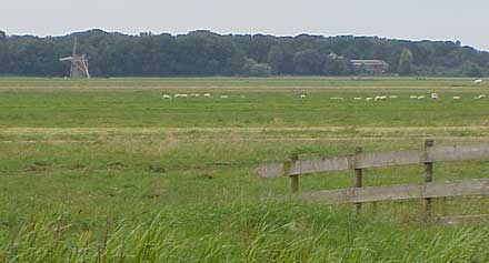 Huis Zuydwijk aan de rand van de Papenwegsepolder