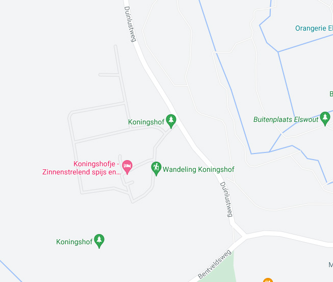 Koningshof met rechts de Duinlustweg. Bovenin: Kraantje Lek  (niet in beeld)