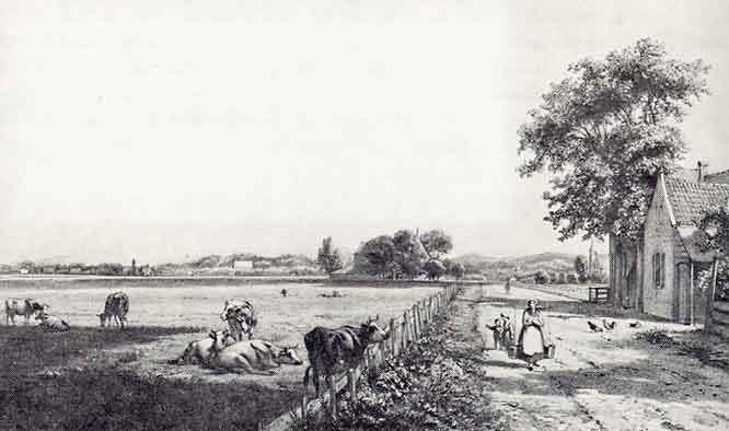 Kleverlaan