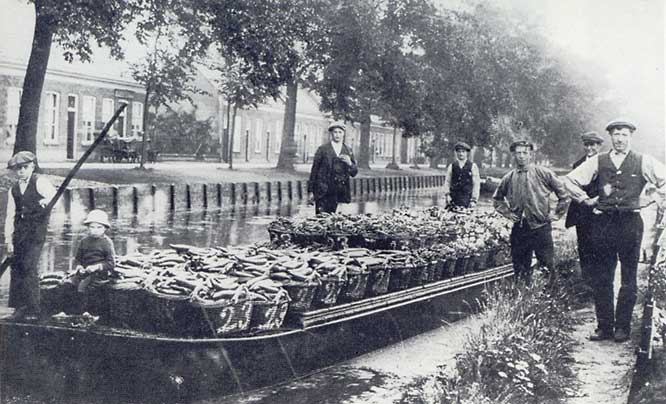 Tuinders rond 1900