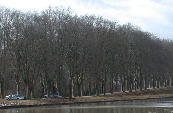Kanaalbrug Twentekanaal bij Delden in Oele