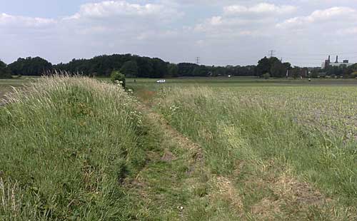 Boakenweg op de Usseler Es