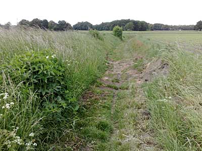 Boakenweg op de Usseler Es in Enschede