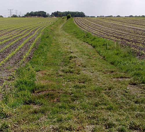 Boakenweg op de Usseler Es als legerplaats voor soldaten van prins Maurits