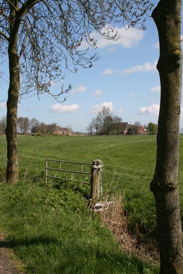 Frytemaheerd bij Zuidhorn in Groningen