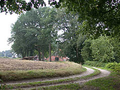 Duivelshof in De Lutte en Weemselo in Albergen