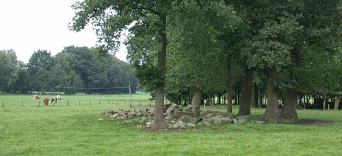 Mostertbelt bij de plek waar kasteel Weemselo stond