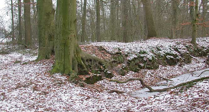 Landweer Hagmolen