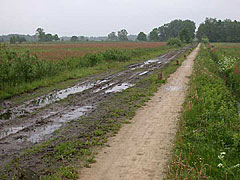 Het Haaksbergerveen is een bijzonder fraai heide- en veengebied