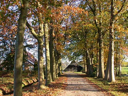 Boerderij Alminkhof