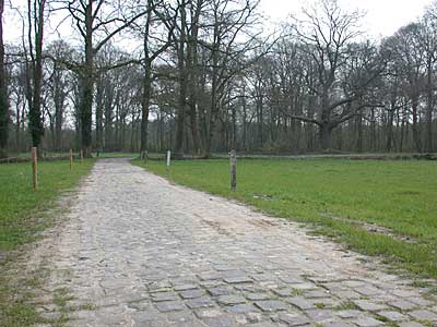 Kloostermoppen bij Graes