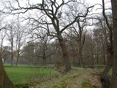 Huisplaats of kasteel Graes in Azelo